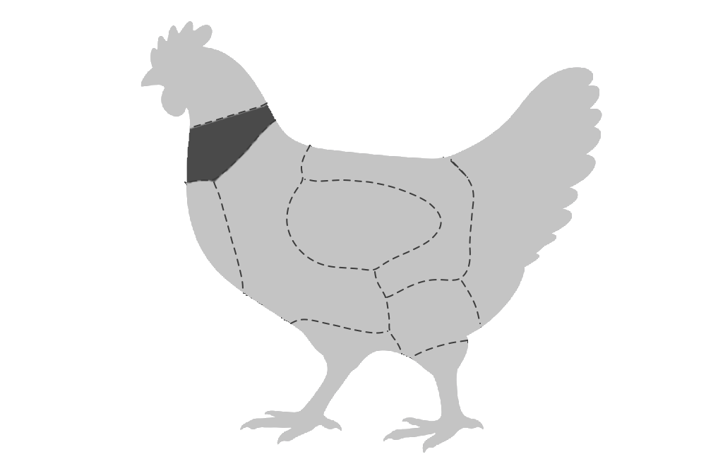 닭 부위 그림 — 목 부분이 진하게 칠해져 있다